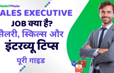Sales Executive job hindi