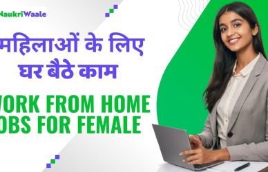 Work From Home Jobs for Female